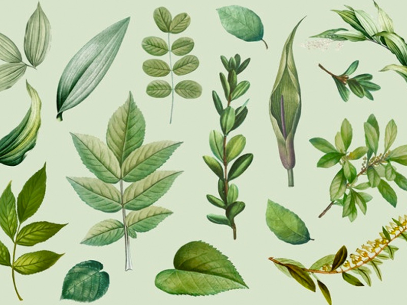 Convocatoria Externa: Profesionistas interesados a participar en concursos por oposición