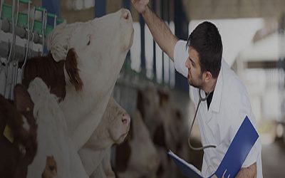 Convocatoria Externa: Profesionistas interesados a participar en concurso por oposición