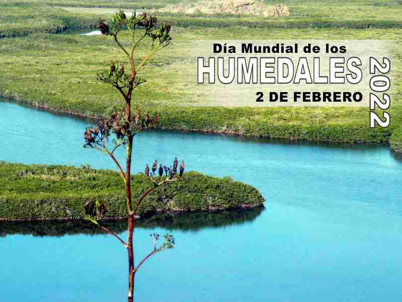 Día Mundial de los Humedales