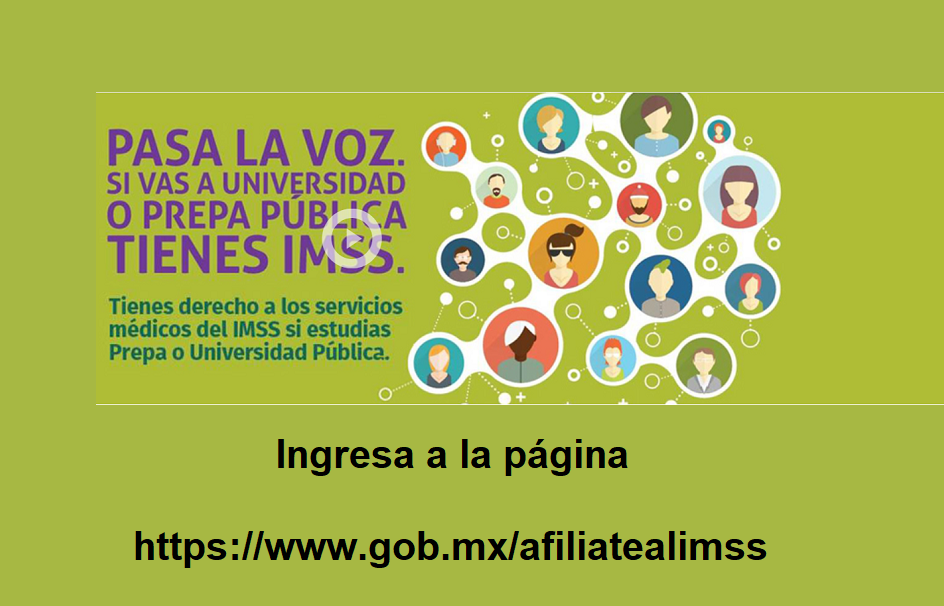 Alumnos de licenciatura(Saltillo) consulta vigencia e inscripción al IMSS