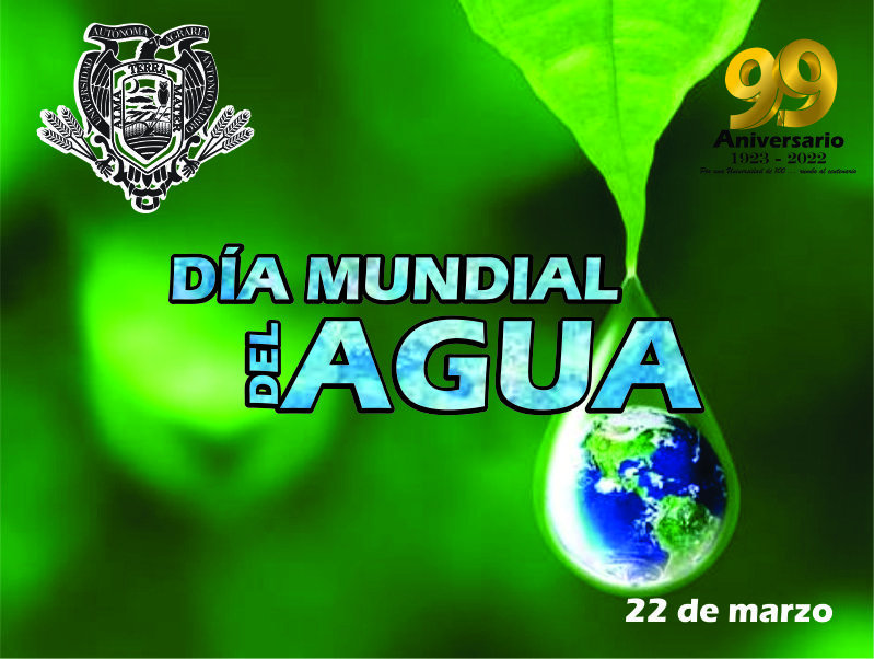 22 de Marzo: Día Mundial del Agua
