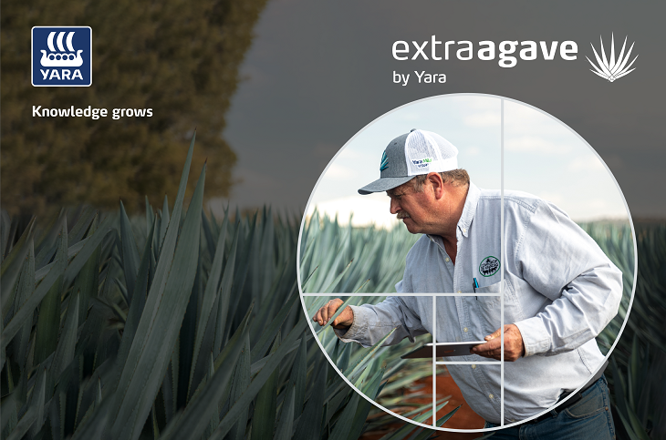 Foro Agave con sabor a México