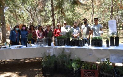 Jornada Ambiental en el Bosque Urbano Ejército Mexicano