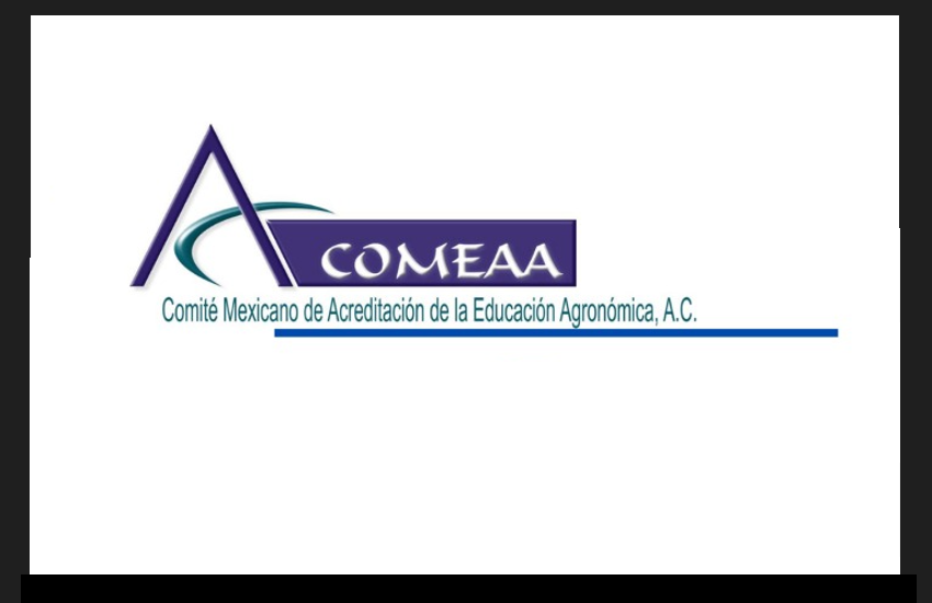 D.E.P. MC. Víctor Manuel Sánchez Valdez