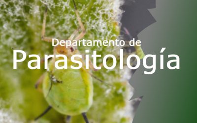 Convocatoria Externa: Profesionistas interesados a participar en concurso por oposición para cubrir vacante de Técnico Académico «A»