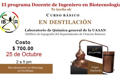 «Descubre el Arte de la Destilación en un Curso Básico»