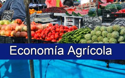 1er. Seminario Internacional: Retos y Oportunidades de México y EE.UU en el Comercio Agrícola