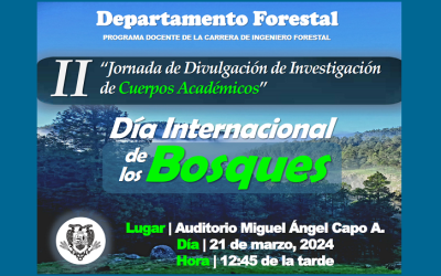 Día Internacional de los Bosques