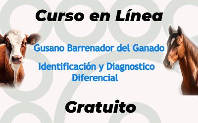 Curso en línea: Gusano Barrenador del Ganado