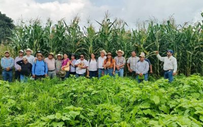 Celebración del Día Nacional del Maíz en Ocozocoautla, Chiapas