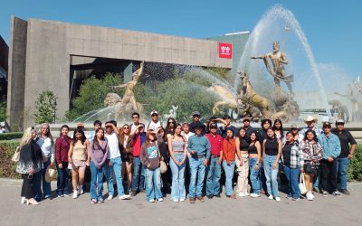 Buitres visitan museo en la capital regiomontana