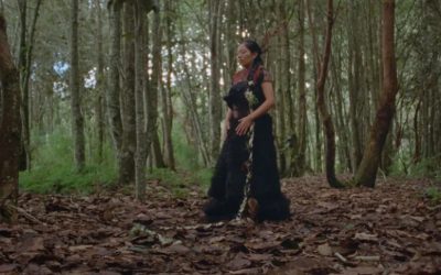 Proyectan la cinta “Formas de atravesar un territorio”, en el marco del XVII Coloquio Internacional de Desarrollo Rural