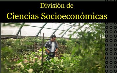 Convocatoria Interna: Personal académico de base y en activo interesados a participar en concurso por oposición