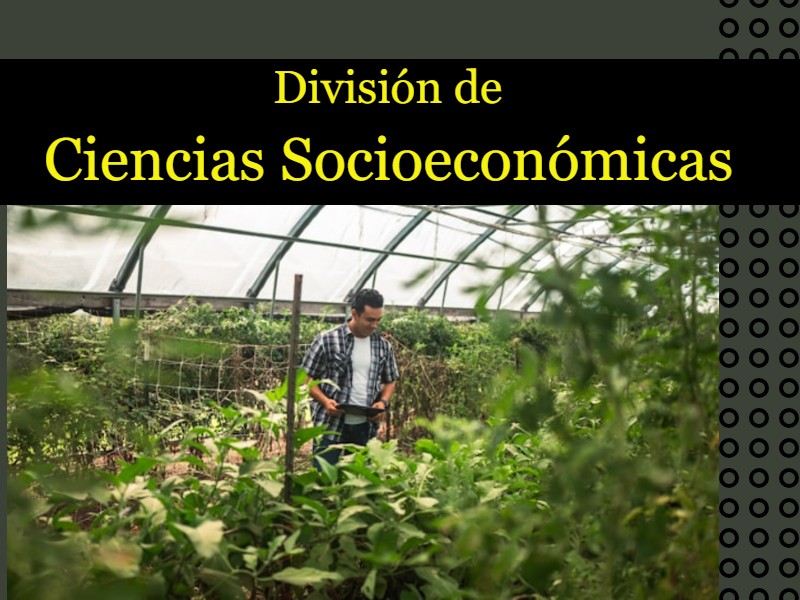 Convocatoria Interna: Personal académico de base y en activo interesados a participar en concurso por oposición