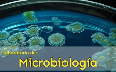 Convocatoria Interna: Personal académico de base interesado a cubrir vacante de Técnico Académico «A»