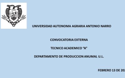 CONVOCATORIA EXTERNA. TECNICO ACADEMICO «A».  DEPTO. PRODUCCION ANIMAL U.L.