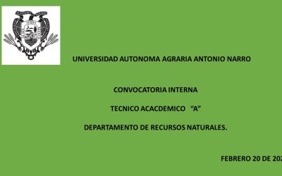 CONVOCATORIA INTERNA. TECNICO ACADEMICO «A». DEPTO. RECURSOS NATURALES