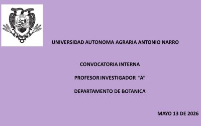 CONVOCATORIA INTERNA. PROFESOR INVESTIGADOR «A». DEPTO. DE BOTANICA