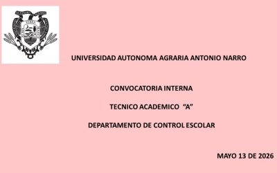 CONVOCATORIA INTERNA. TECNICO ACADEMICO «A». DEPTO. DE CONTROL ESCOLAR