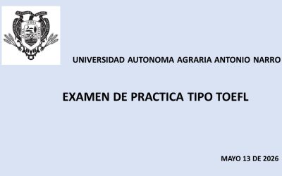 EXAMEN DE PRACTICA TIPO TOEFL