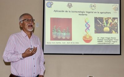Aplicación de la biotecnología vegetal en la agricultura moderna