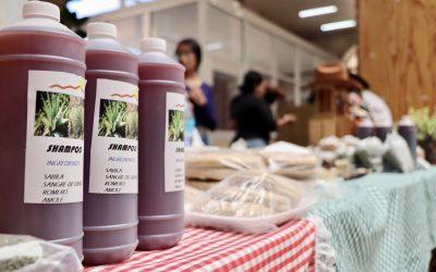 Impulsan economía solidaria desde la UAAAN