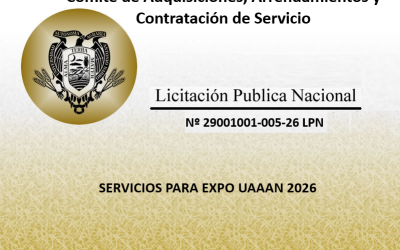 LICITACIÓN PUBLICA NACIONAL Nº 29001001-005-26 LPN