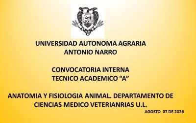 CONVOCATORIA INTERNA. TECNICO ACAMICO «A»  DEPTO. CIENCIAS MEDICO VETERIANRIAS