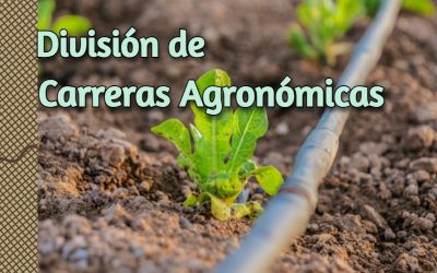 Convocatoria Interna: Personal académico de base y en activo interesados en participar en concurso por oposición