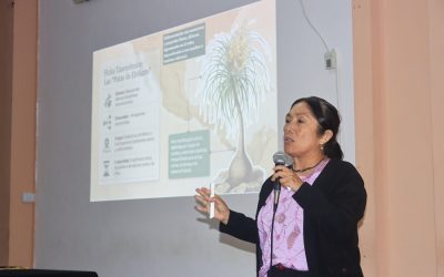 UAAAN es sede del 7.º Congreso Mexicano de Fisiología Vegetal